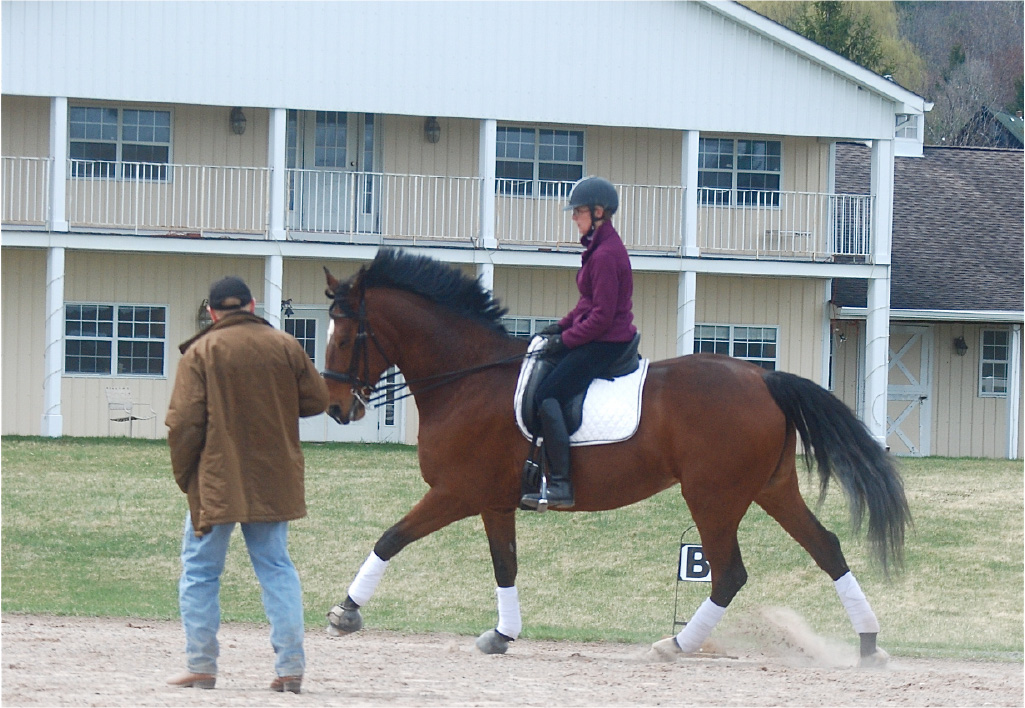 Dressage Clinics FEI Training