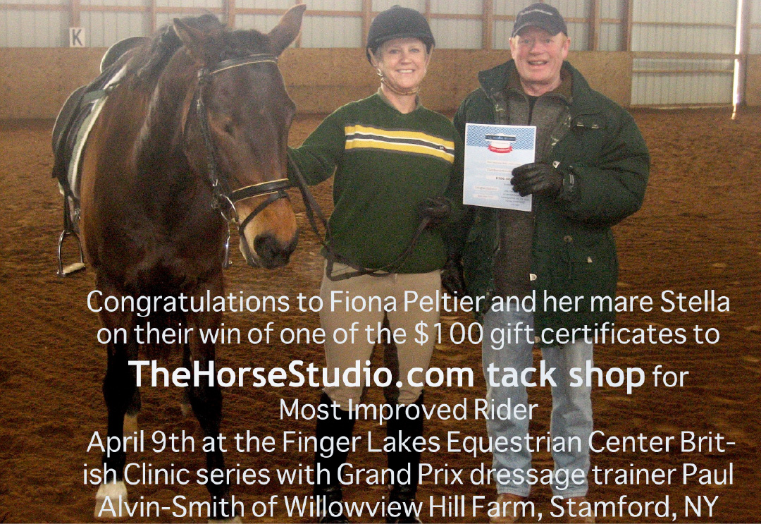Dressage Clinics Sponsored Dressage Clinic