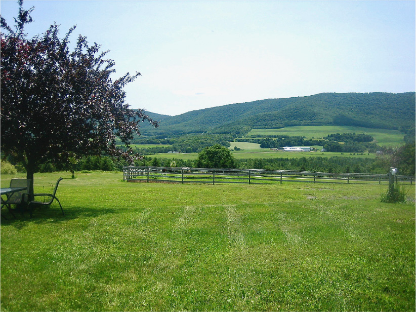 View of front paddock. Dressage Days at WVH