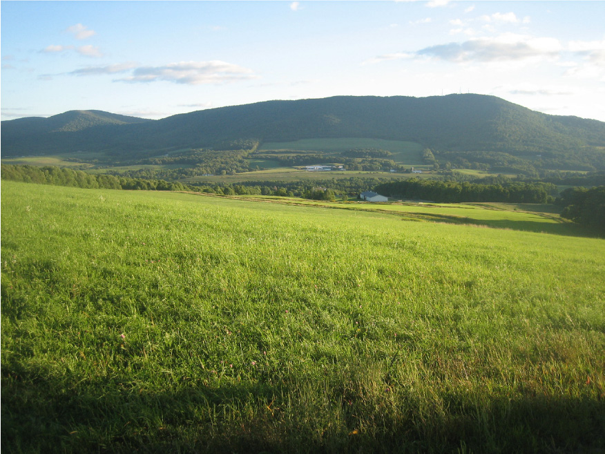 View of farm from the top of the land