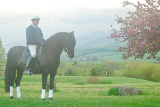 Paul and Celesto-ANCCE Stallion